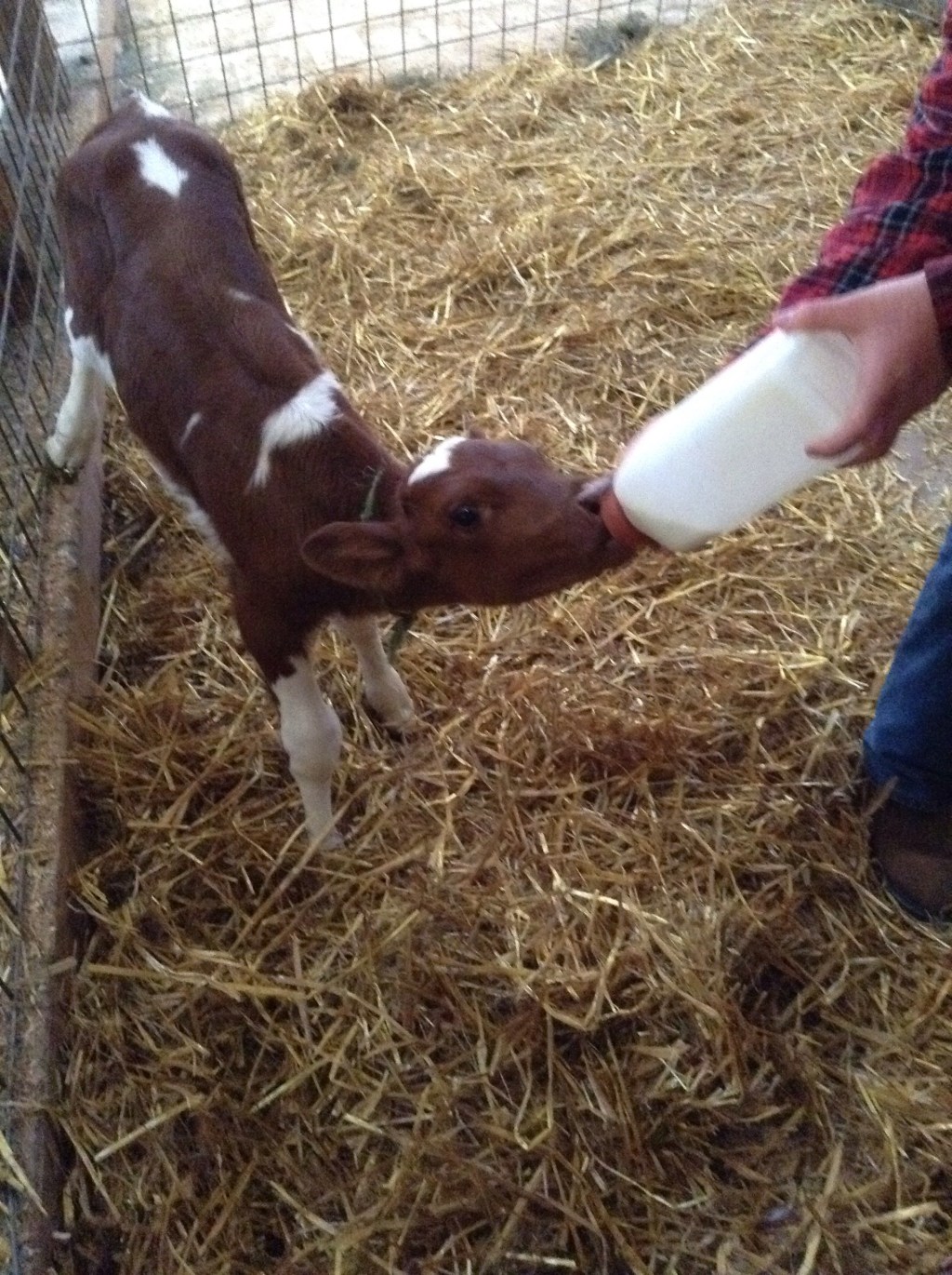 Food…for the soul&nbsp;too!